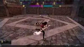 Vindictus Arena Fearmaster vs. Seata
