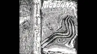 Sceptical Schizo (FIN) - The Four Seasons (1994)