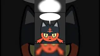 Sprigatito meets Litten #pokemon