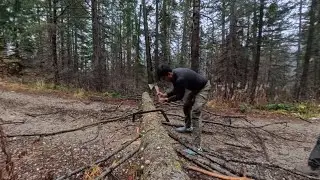 Getting stuck at a fallen tree while Overlanding near Lake Wenatchee