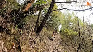 Vietnam Motorbike Tours Off Road On Jungle Tracks With Freedom On Two Wheels | OffroadVietnam.Com