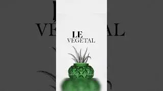 The lovechild of Southern France: Languedoc Vase | Lalique