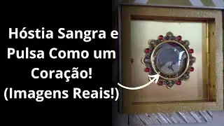 Milagre Eucarístico Incrível: Hóstia Sangra e Pulsa Como um Coração! Imagens Reais!