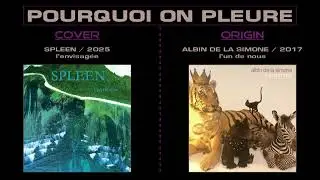 Pourquoi on pleure - Albin de la Simone - SPL [ FAN COVER ]