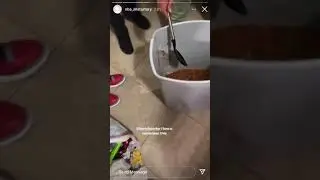 NBA Ben 10 throws bucket of henny on nba youngboy friend