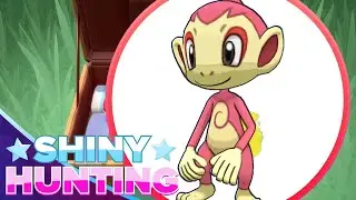 CAN I GET A SHINY STARTER?!?! Pok&eacute;mon Brilliant Diamond and Shining Pearl Shiny Hunting Chimchar