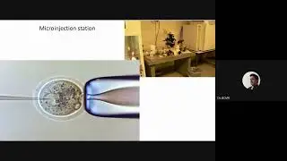 SCB BioE 38 Transgenic mice 2021 11 12 at 22 42 GMT 8