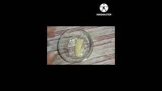 #shorts #shortsvideo pigmentation home remedy | mango kernel for pigmentation home remedy