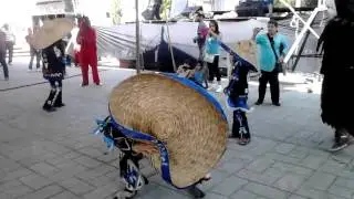 Tecuanes azul de san juanico en acolma