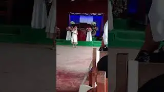 Ninii zai