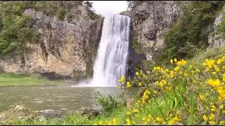 The serene moments in this piece of paradise are healing | Nature Sounds | New Zealand