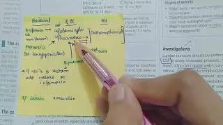 Treatment of Bacterial Meningitis 