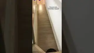 Top robot vacuum cleaner for your home #robotvacuum #sweeper