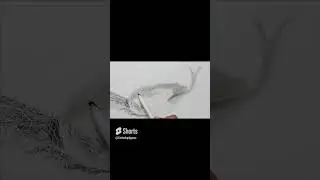 Realistic Snake Painting with Charcoal Pencils / First Time with Charcoal / #shorts