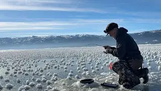LAKE CASCADE ICE AND FISHING REPORT JANUARY 21ST