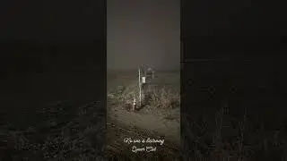 No One Is Listening