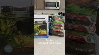 Topfin Shrimp & Plant Oasis set up. (I ended up switching out the substrate) #shrimptank #aquascape