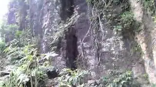 Situs Watu Payung & Air terjun Tersembunyi