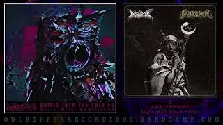 OWLRIPPER RECORDINGS - Howls Into The Void#2 COMPILATION [FULL ALBUM] 2022