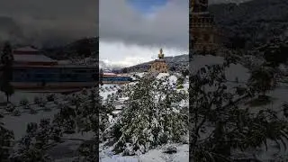 snow in ravangla buddha park #ravanglabuddhapark #Ravangla #southsikkim #snow #snowinsikkim