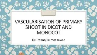 BSc ptll paper lll topic vascularization