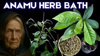 Anamu Herb Bath &ndash; Protects from Bad Energy & Attract Luck