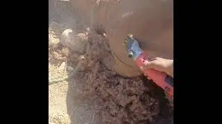 مكنه قص الجمال والاغنام والحمير يوجد شحن جميع المحافظات 01117619106
