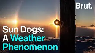 Sun Dogs: the Light Rays That Look Like UFOs