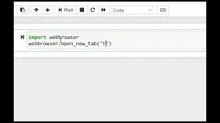 python script to open URL
