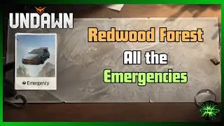 Undawn Emergency in Redwood Forest