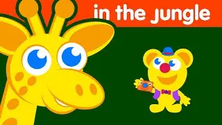 KneeBouncers | Discover Beautiful Animals! | Fun Learning Videos for Toddlers