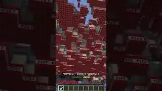 The Secret Cheats on TNT Run #Hypixel #Minecraft #TNTRun