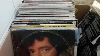 DISCOS E MAIS DISCOS NUMA CAIXA ESPERANDO O RITO DE LIMPEZA!! O VINIL EM SUA ENTRADA NA COLEÇÃO!!