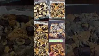 Walnut dates banana cake.#trending #viralvideo #delicius #homemadecake #instant #recipe #shorts