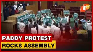 Chaos In Odisha Assembly Over Paddy Procurement Issues
