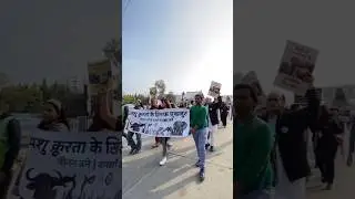 #savehcubiodiversity 🌲 #save #forest #saveforest #saveforests #saveforthefuture #savewater #ytshorts