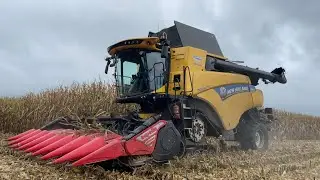 moisson de maïs grain🌽ETA Trenchevent! 2022 avec une New Holland CR 8.80 à CHENILLE🤯!