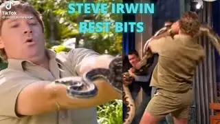 STEVE IRWIN Best Bits | The Most Funny and Scary Steve Irwin Moments