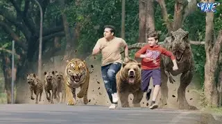 🦁 Baalveer Returns – Sher, Bhalu Aur Dinosaur Ka Attack!