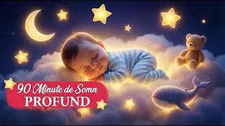 90 Minute de Somn PROFUND 🌙 Cele Mai Frumoase C&acirc;ntece de Leagăn (Non-Stop Mix)