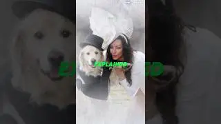 Нетрадиционная любовь: британка выходит замуж за свою собаку.