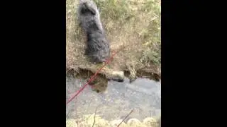 Zinzan Jumping 2