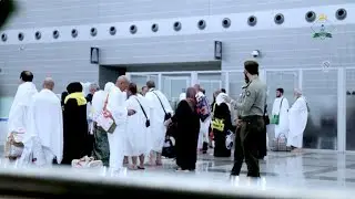 استقبال ضيوف بيت الحرام من المعتمرين في جوازات مطار الملك عبدالعزيز بجدة