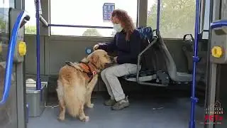 PETx - Cani guida per non vedenti - Massimo Bugianelli