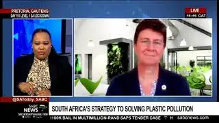 South Africa's strategy to solve plastic pollution:  Prof Linda Godfrey