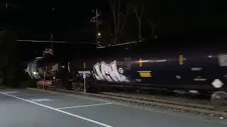 CSX L005 in Medfield, MA|May 20,2024|