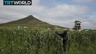 The Land Expropriation debate in South Africa gets heated | Crossing The Line