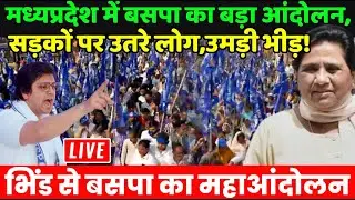 BSP Mayawati Bhind Rally Live : मध्यप्रदेश में बसपा का बड़ा आंदोलन, सड़कों पर उतरे लोग,उमड़ी भीड़!!