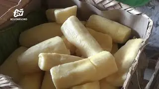 Usaha Tape Ubi Tradisional Beromzet Belasan Juta Rupiah Per Bulan