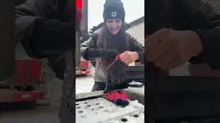 Pozdro z załadunku owsa 🚛🌾Tak jak w życiu, tak i w transporcie &ndash; najważniejsze to nie dygać 😎💪